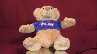 Afbeeldingen van Thorpe Park Stuffed Bear
