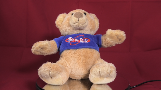 Afbeelding van Thorpe Park Stuffed Bear